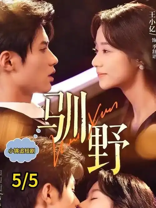 深红座椅排座